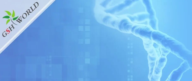 行业关注 - 风靡美国的辅酶Q10到底要不要吃？吃多少合适？