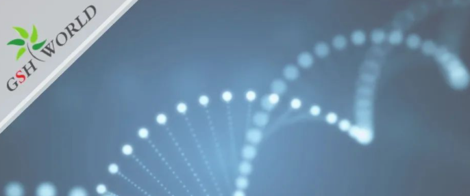 行业关注 - 胞磷胆碱保护大脑的7大好处