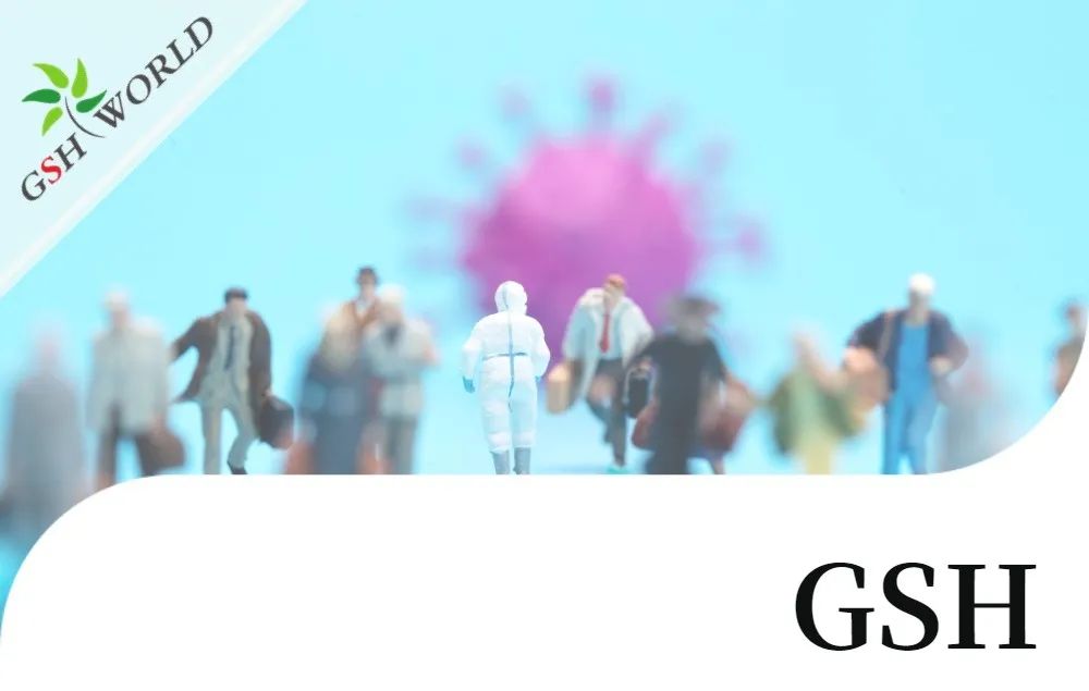行业关注 - 增强 GSH 可能是对抗新冠疾病的有效疗法