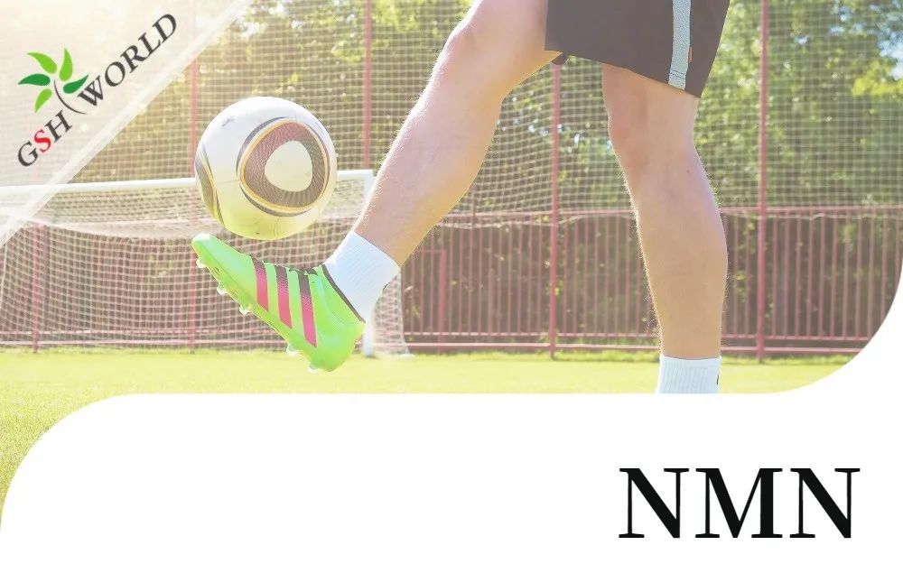 行业关注 - NMN对肌腱炎的抗氧化作用