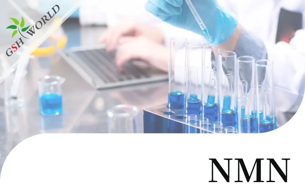 行业关注 - NMN最新研究进展