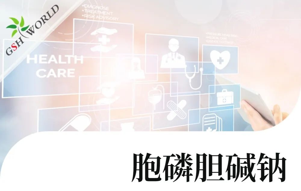 行业关注 - 胞磷胆碱钠对新冠导致相关认知衰退的潜在作用