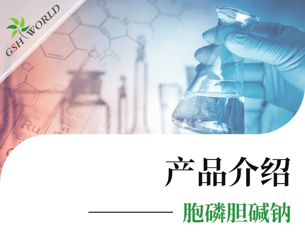 产品介绍 - 胞磷胆碱钠——被广泛应用的神经保护剂