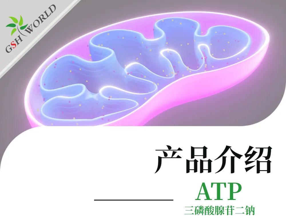三磷酸腺苷二钠：生命能量的化学密码