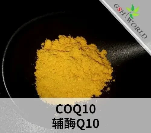 辅酶Q10原料的概述和应用