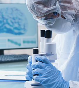 专注于自主研发