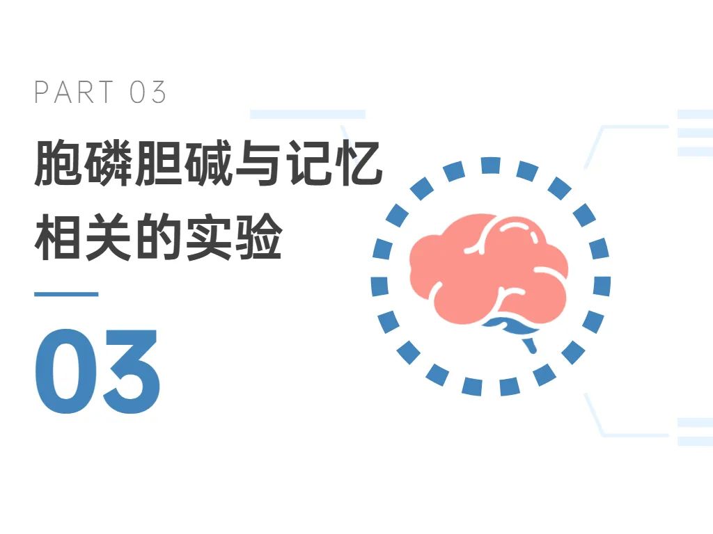 03胞磷胆碱与记忆相关的实验