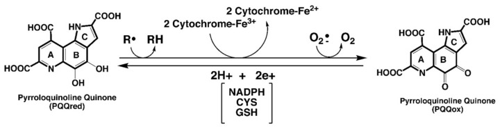包含图片、插图等的外部文件。
对象名称为 biomolecules-11-01441-g001.jpg