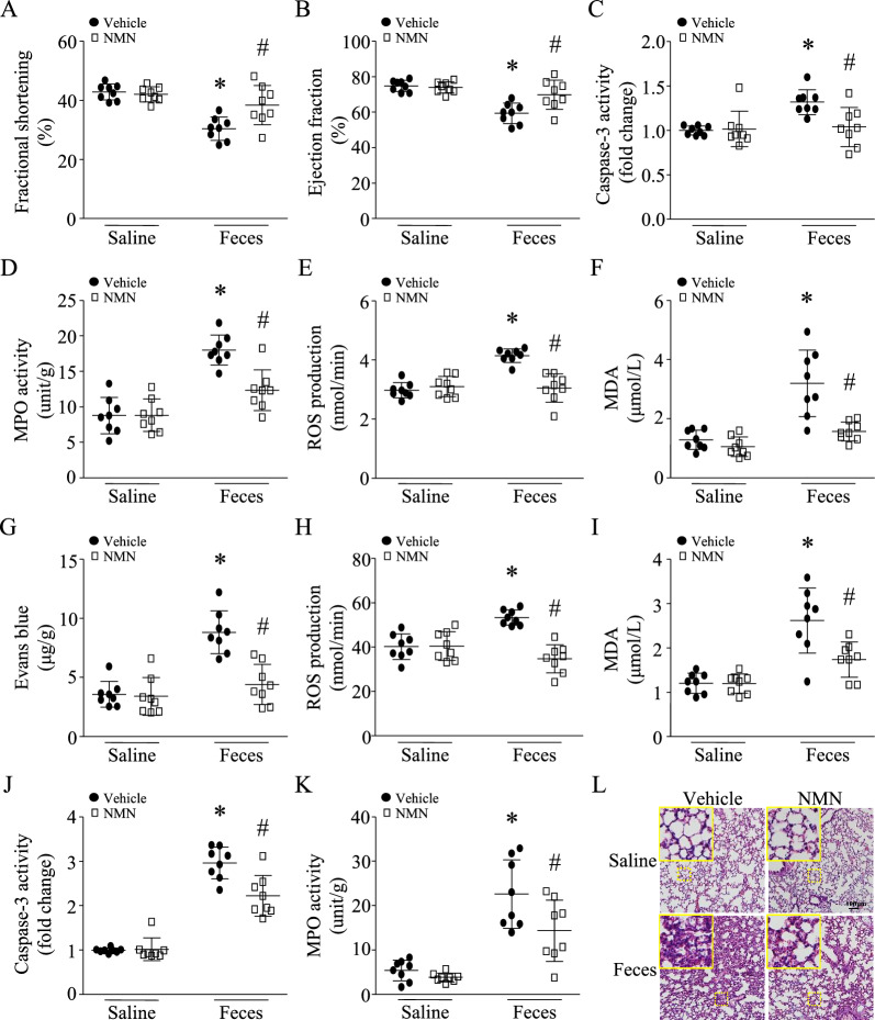 包含图片、插图等的外部文件。
对象名称为 12967_2023_4767_Fig2_HTML.jpg
