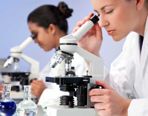 SAMe可用于治疗ADHD吗？