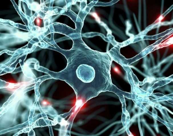 古特生物 NAD促进神经健康