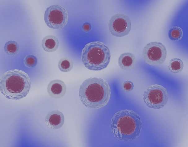 PQQ的结构与特性