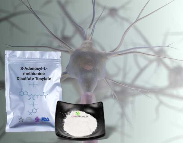 SAMe对神经健康的作用