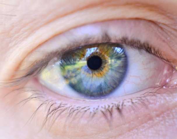 胞磷胆碱的作用机制