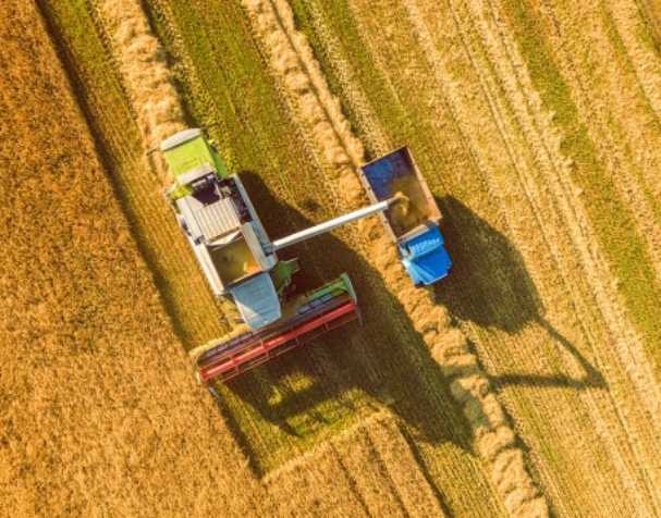 谷胱甘肽在多种非生物胁迫中的作用