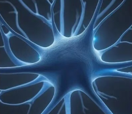 胞磷胆碱：神经膜的直接修复者