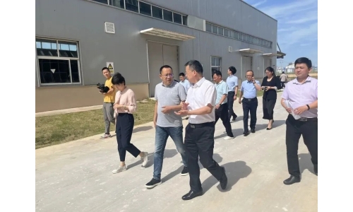 市委常委、副市长吕栋来公司调研