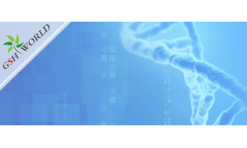 烟酰胺和nmn区别？烟酰胺单核苷酸(NMN) 的化合物