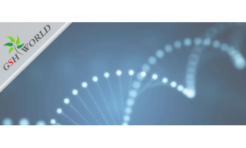 行业关注 - 胞磷胆碱保护大脑的7大好处