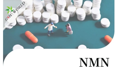 NMN(烟酰胺单核苷酸)的适用人群