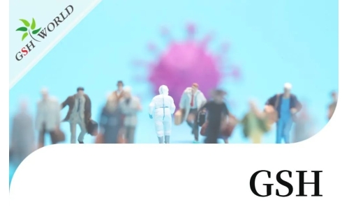 行业关注 - 增强 GSH 可能是对抗新冠疾病的有效疗法