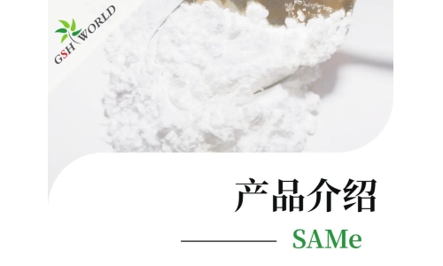 产品介绍 - SAMe——堪称全能的肝脏营养剂