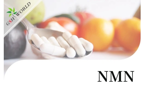 行业关注 - NMN潜在的抗衰老活性及其适用性