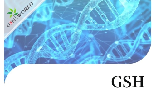 行业关注 - 谷胱甘肽结合几种不同抗癌化疗药物的生物学作用