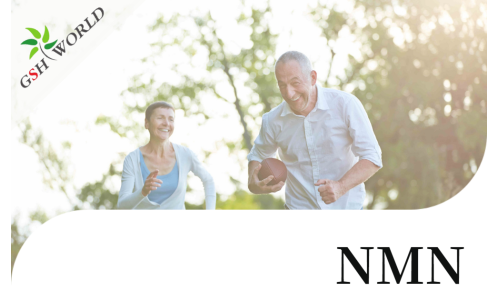 行业关注 - 那些年，有关NMN的临床试验