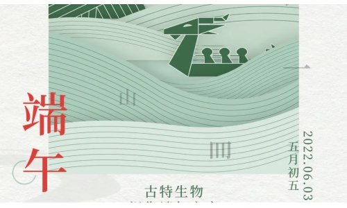 端午 - 争流而上，行舟踏浪