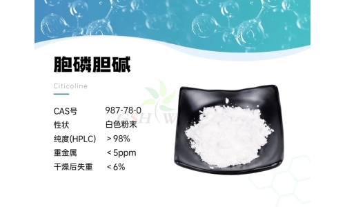 产品资讯 - 胞磷胆碱在视网膜病理学中的作用