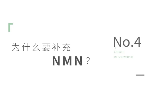 NMN——身体内的抗氧化剂、免疫调节剂和抗炎药