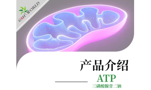 三磷酸腺苷二钠：生命能量的化学密码