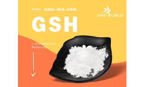 谷胱甘肽：一种多功能的抗氧化剂和解毒剂