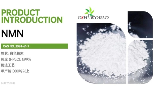 烟酰胺单核苷酸原料：制造商和消费者指南