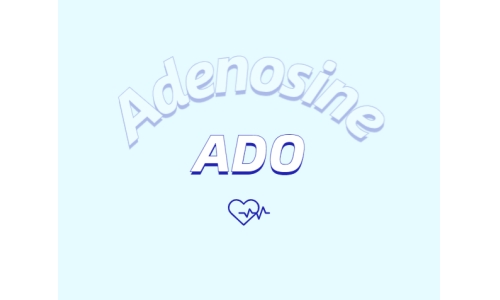 腺苷的心脏保护特性