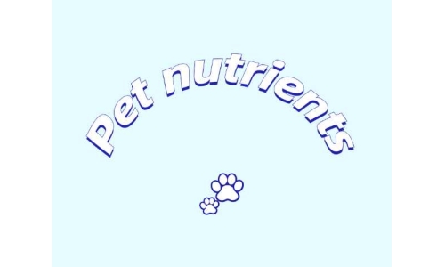 三种具有潜力的宠物营养素——PQQ、辅酶Q10以及S-腺苷甲硫氨酸