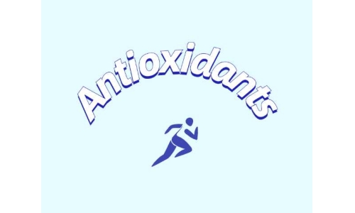 抗氧化补充剂影响脂肪组织