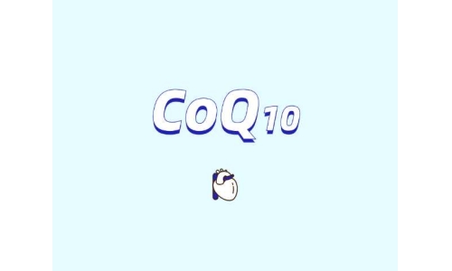 辅酶Q10在肥胖管理中的潜在作用