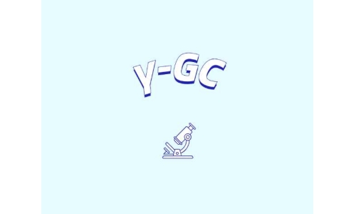 认识γ-谷氨酰半胱氨酸